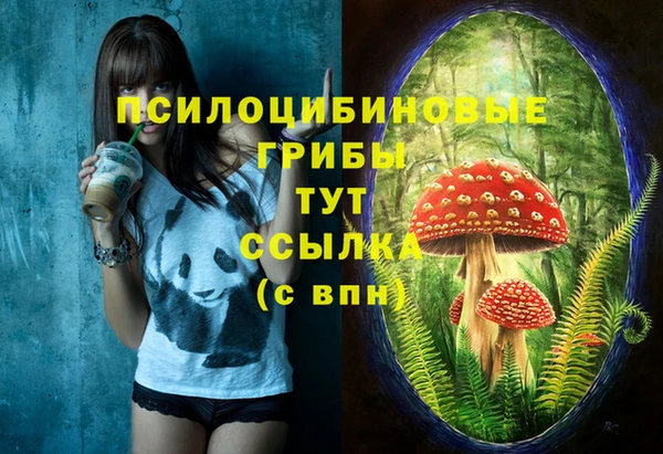 хмурый Козельск