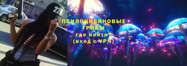 Альфа ПВП Корсаков